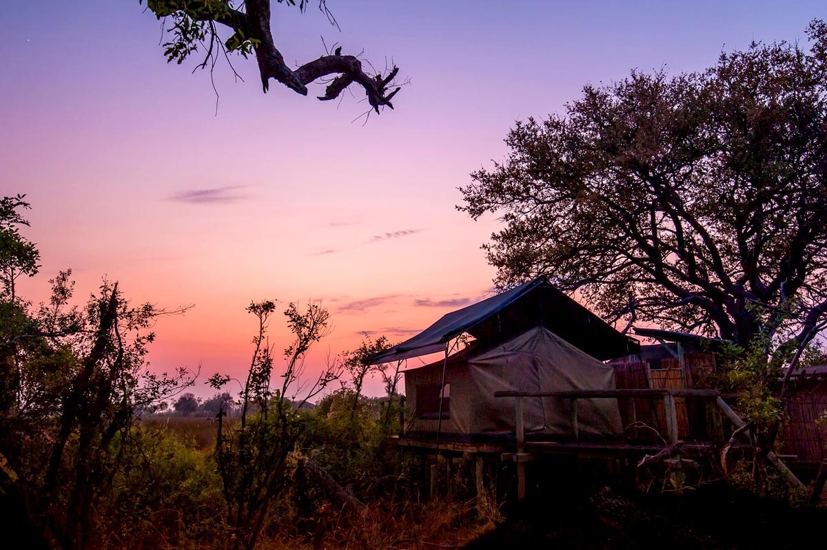 <p>Sunsets in the Okavango never disappoint!</p>
